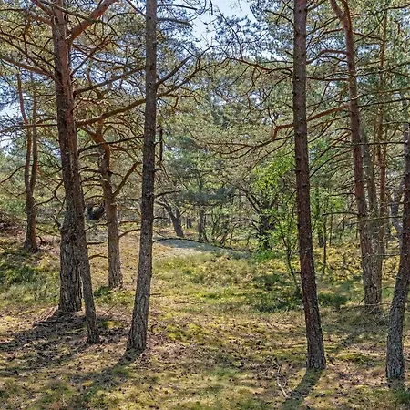 Godt Gemt Vester Somarken